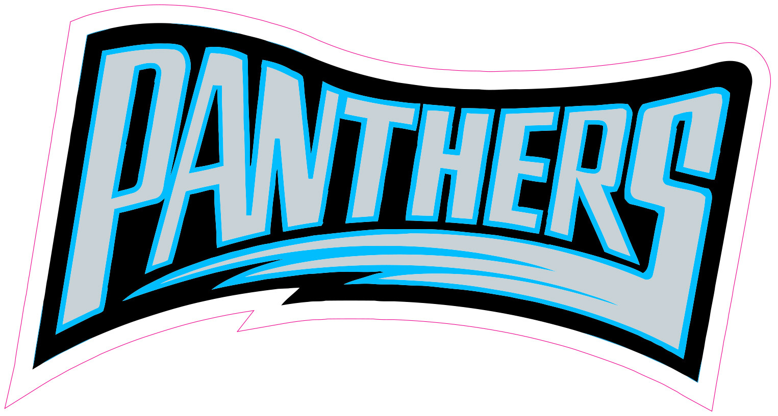 Carolina Panthers Football Vinyl Decal Sticker Car Truck Bumper Tumbler Mug