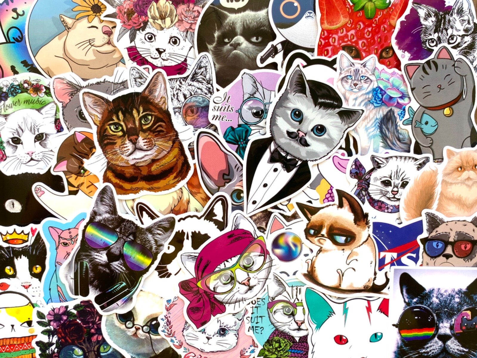 5-50 pcs Cat Meme Stickers, Cat Lover Gifts, Cute Funny Sad Fat Cat Vinyl Decals