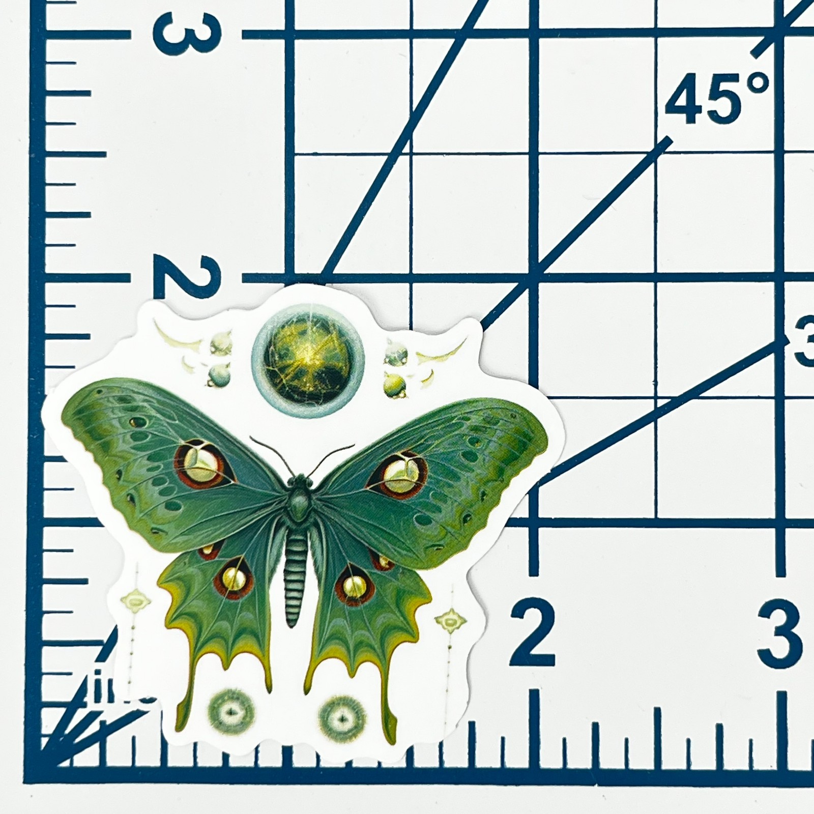 Spanish Moon Moth Vinyl Sticker Vintage Celestial Green Insect Journal Laptop