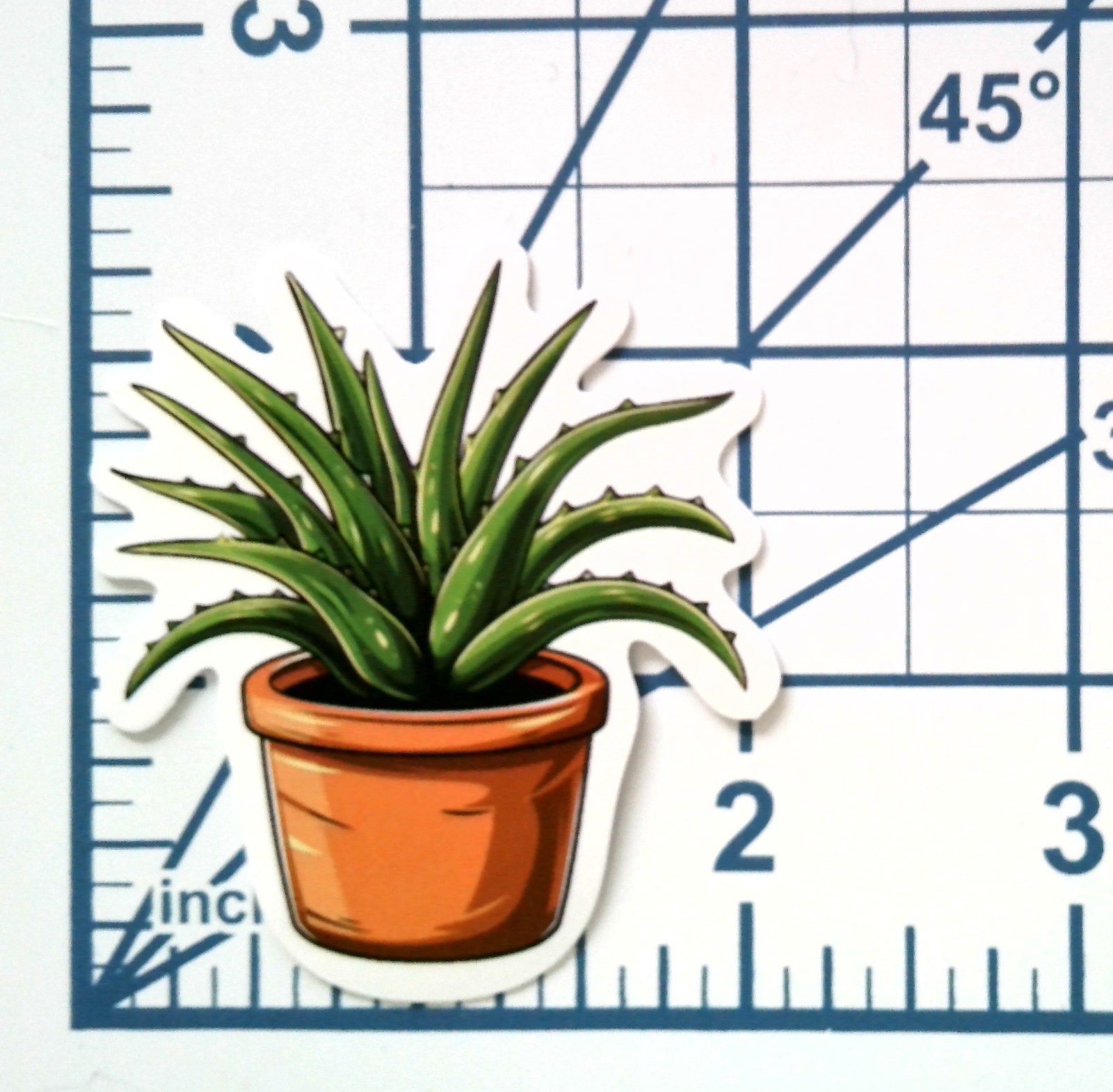 Vinyl Sticker Die Cut Aloe Vera Decal Succulent Plant Medicine Journal Scrapbook
