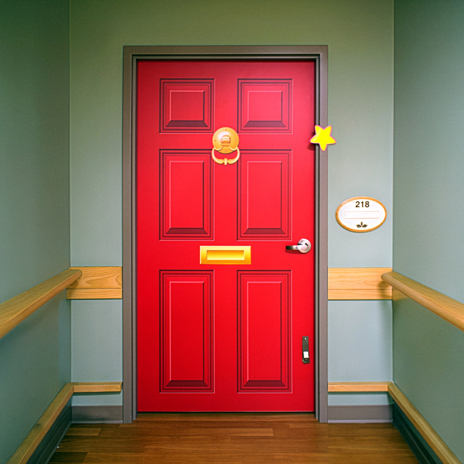 Dementia Friendly Door Mural | Custom Size & Color | Seamless 1-Piece Wrap