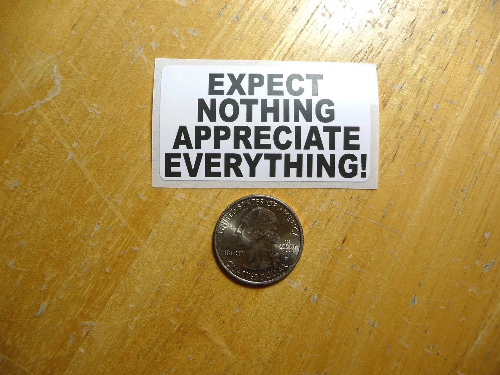 EXPECT NOTHING APPRECIATE EVERYTHING STICKER DECAL 1 – 50 BULK PACK FUNNY