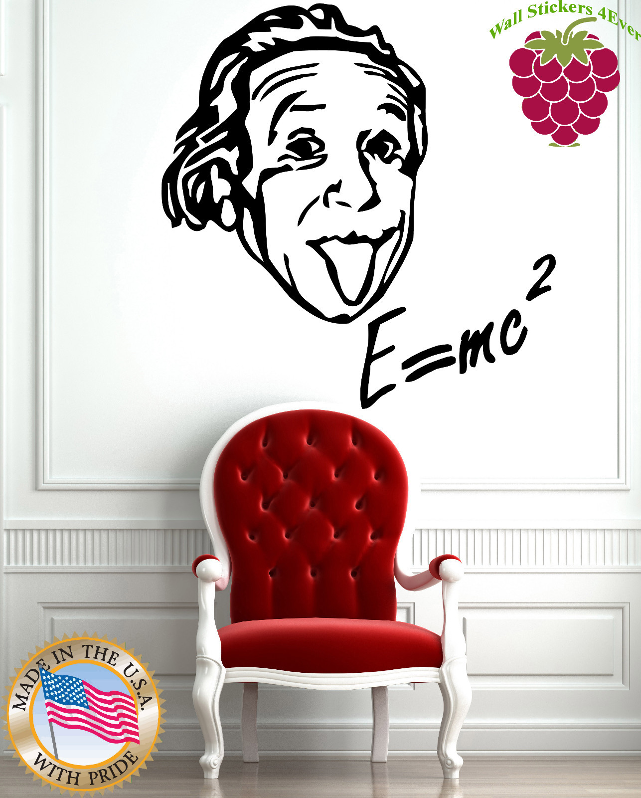 Wall Vinyl Sticker Art Decor Einstein Theory of Relativity Physics Science EM318