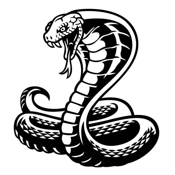 Vinyl Decal for Window – Cobra Snake, Various Colors & Sizes