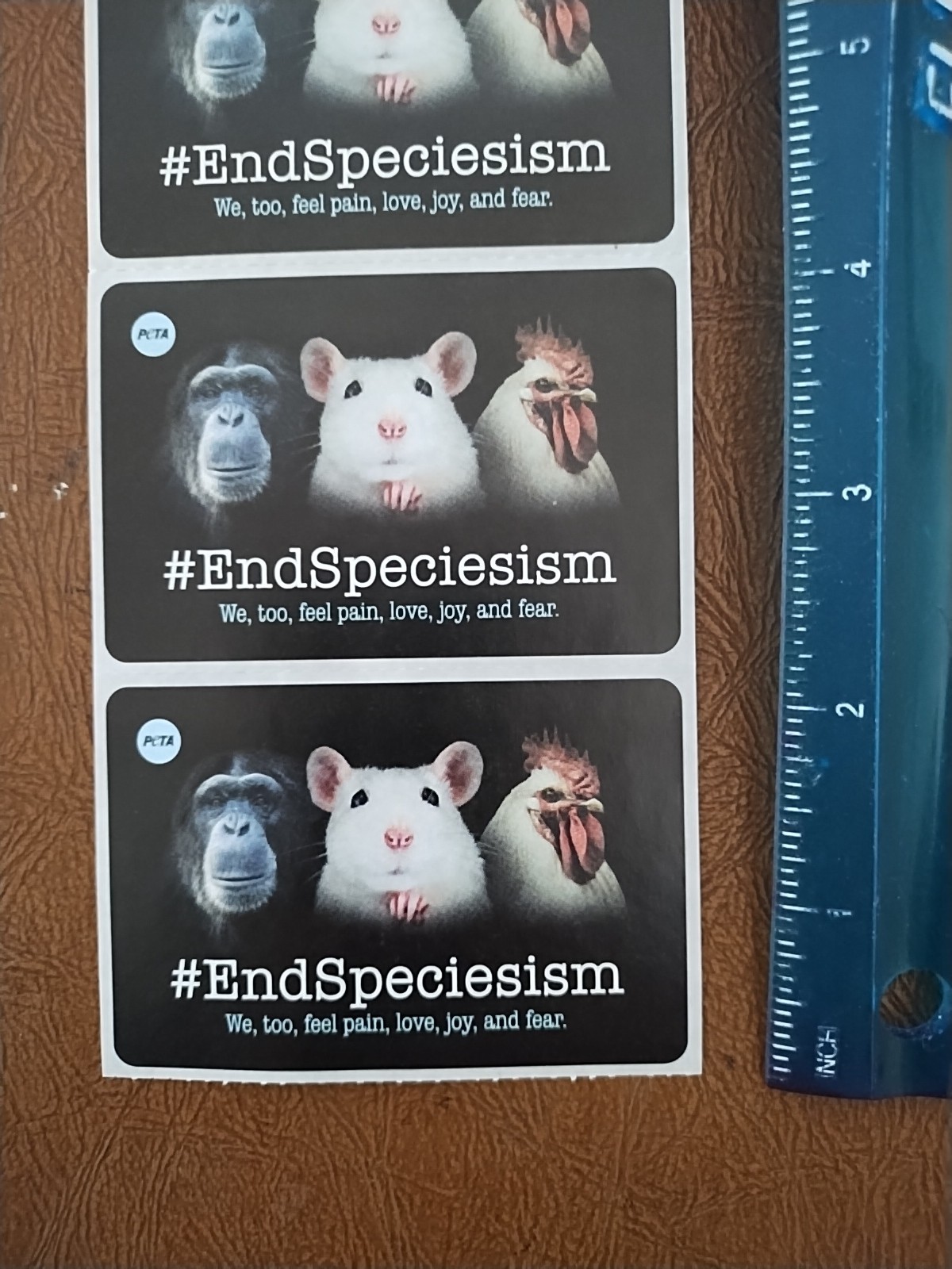 1 Sheet with 5 PeTA Stickers: #EndSpeciesism.We,too,feel pain. Each Size 3"x 2"