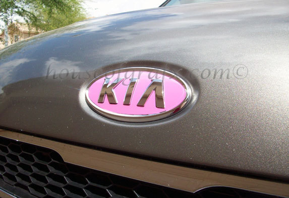 Front & rear emblem overlay graphic sticker decal decals ONLY fit 2012 Kia Soul